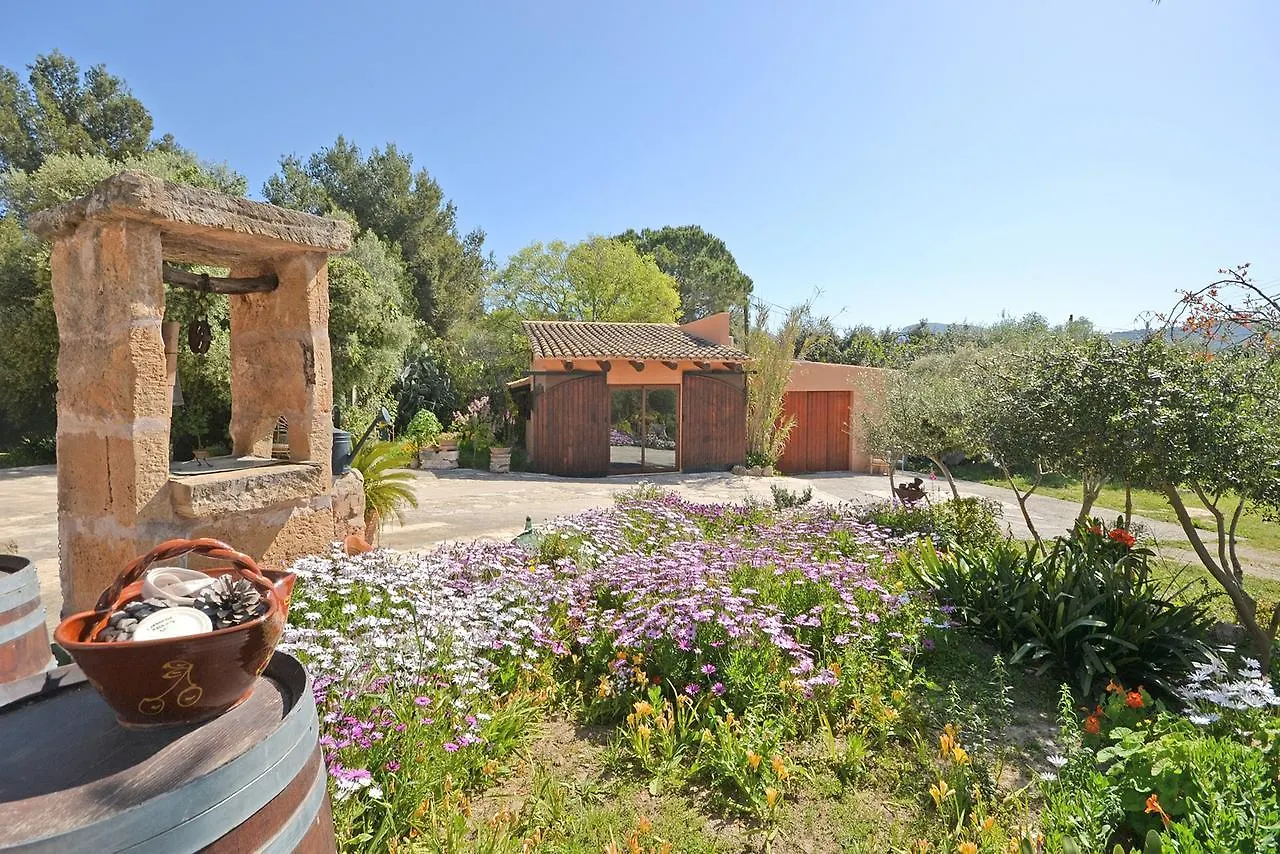 Villa Torreon Alcudia  Spain